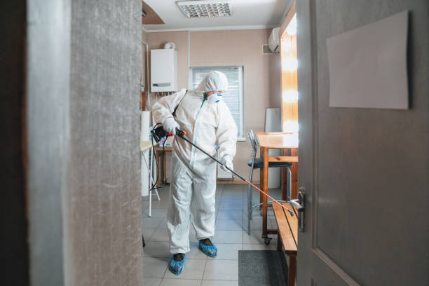 Best Comprehensive Air Testing for Mold Contaminants  in Haslet, TX